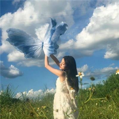 黑蝴蝶 海报